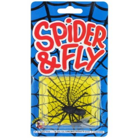 Spider & Fly  J/07