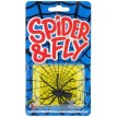 Spider & Fly  J/07